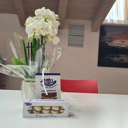 Namaste Appartement Mandello del Lario